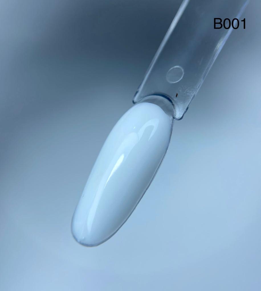 בס עם צבע B001 2