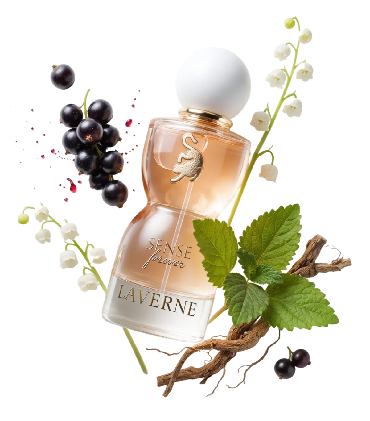 Sense Forever Laverne Collection 5