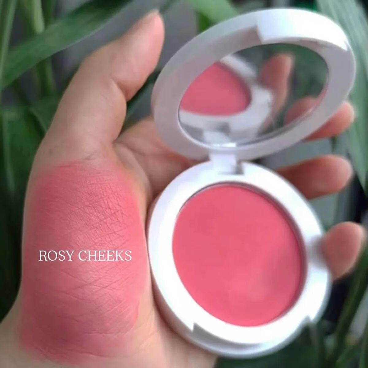 סומק קטיפה ROSY CHEEKS