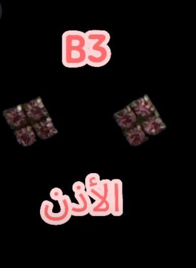 B-3
