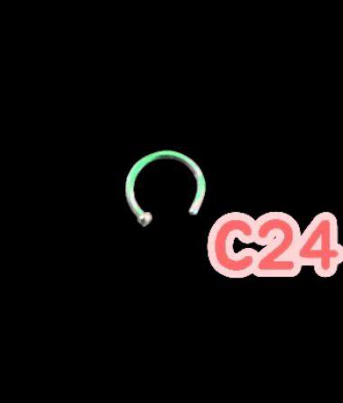 C-24