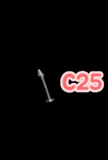 C-25