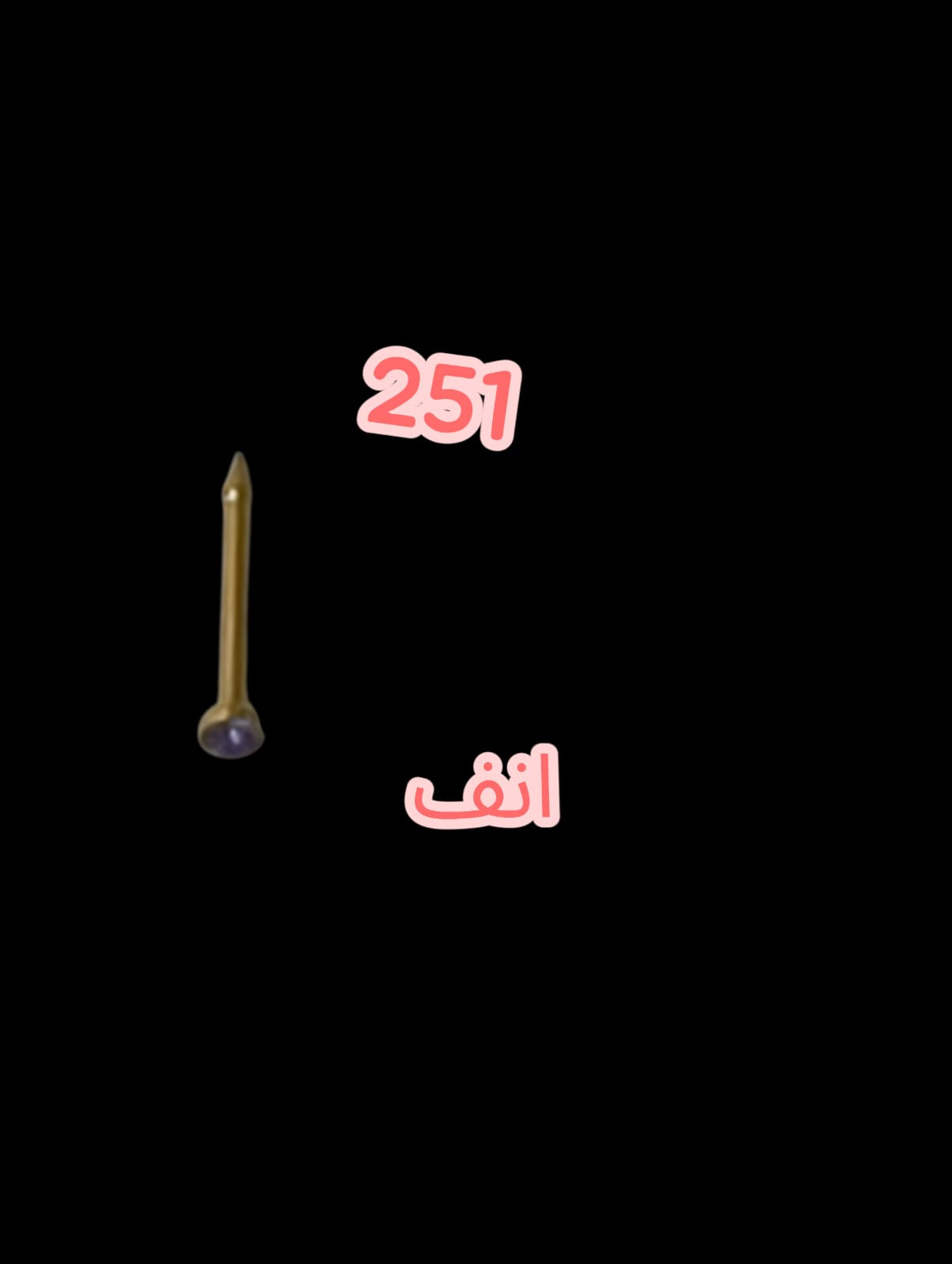 251