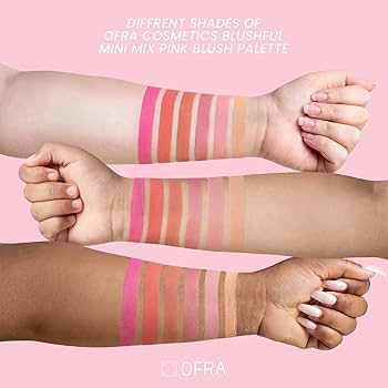 פלטת סומק מיני של OFRA COSMETICS BLUSHFUL 3