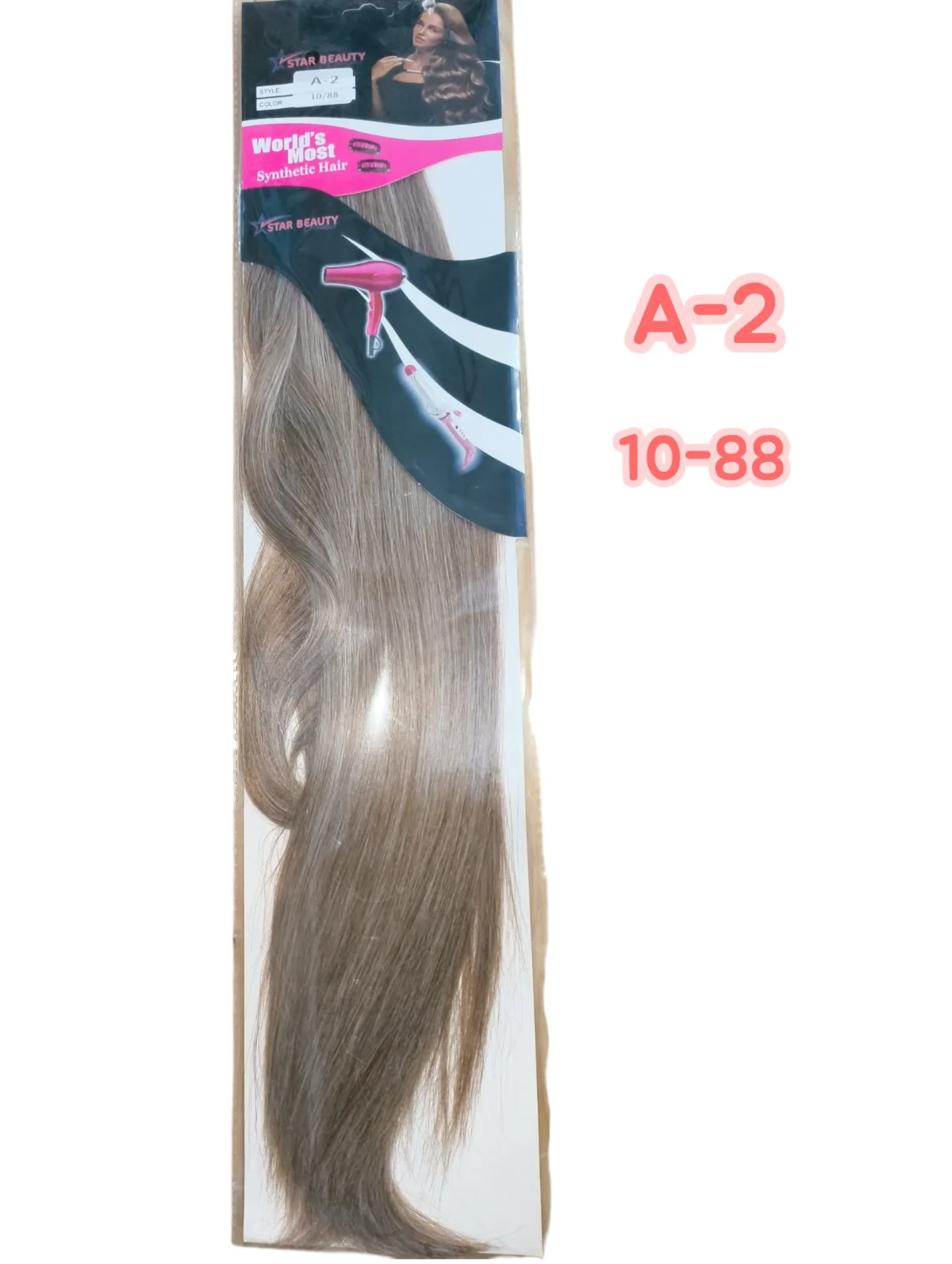 שלוחה A-2 10/88
