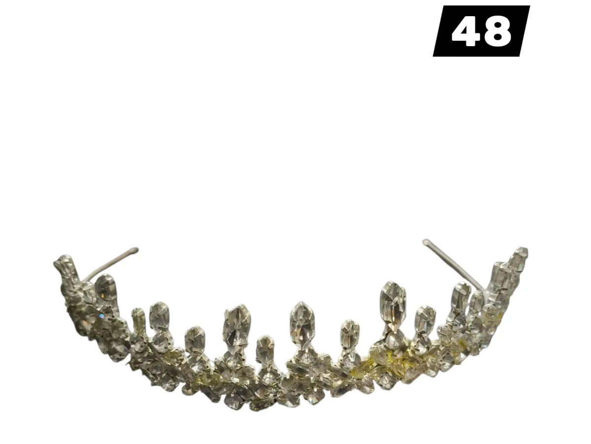 כתר מס' 48