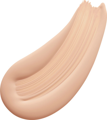 Foundation Developer גרסה חדשה 1N1 2
